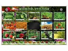 Комплект оборудования "Живой уголок" (растения) - fgospostavki.ru - Тюмень