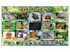 Комплект оборудования "Живой уголок" (животные) - fgospostavki.ru - Тюмень