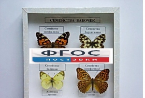 Коллекция "Семейство бабочек" - fgospostavki.ru - Тюмень