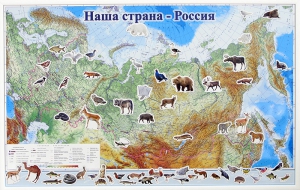 Магнитные карточки "Животные" - fgospostavki.ru - Тюмень