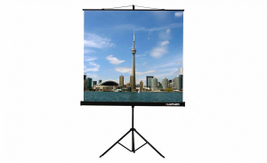 Проекционный экран на штативе Lumien Eco View (LEV-100105) 160x160 см - fgospostavki.ru - Тюмень