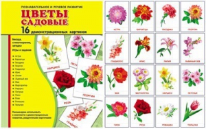 Демонстрационные карточки "Цветы садовые" - fgospostavki.ru - Тюмень