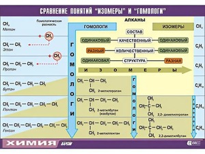 Таблица демонстрационная "Сравнение понятий изомер и гомолог" (винил 70x100) - fgospostavki.ru - Тюмень