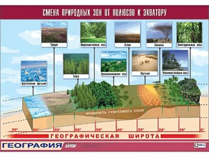 Таблица демонстрационная "Смена природных зон от полюсов к экватору" (винил 70*100) - fgospostavki.ru - Тюмень