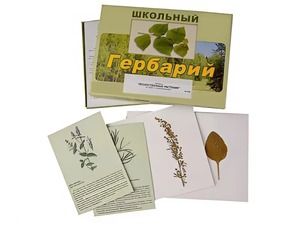 Гербарий "Лекарственные растения" (22 вида с иллюстрациями) - fgospostavki.ru - Тюмень
