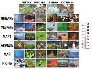 Фенологические наблюдения - fgospostavki.ru - Тюмень