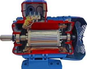 Учебная модель «Электродвигатель асинхронный в разрезе» - fgospostavki.ru - Тюмень