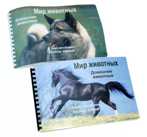 Пособие для слабовидящих - Домашние животные - fgospostavki.ru - Тюмень