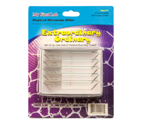 Набор микропрепаратов для микроскопа №3 «Необычное в обычном» - fgospostavki.ru - Тюмень