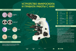 Электрифицированный стенд "Устройство микроскопа и правила работы c ним" - fgospostavki.ru - Тюмень