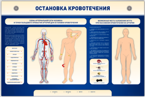Электрифицированный стенд-тренажер "Остановка кровотечения" - fgospostavki.ru - Тюмень
