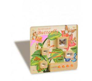 Панель «Жизненный цикл бабочки» - fgospostavki.ru - Тюмень