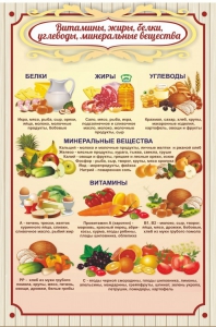 Стенд "Витамины, жиры, белки" - fgospostavki.ru - Тюмень