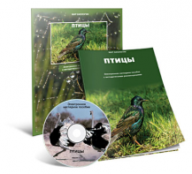 Электронное наглядное пособие «Птицы» - fgospostavki.ru - Тюмень