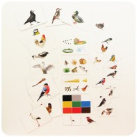 Набор магнитных карточек "Загадки-отрицания". Птицы - fgospostavki.ru - Тюмень