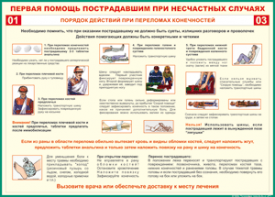 Таблица "Порядок действий при переломах конечностей" (100х140 сантиметров, винил) - fgospostavki.ru - Тюмень