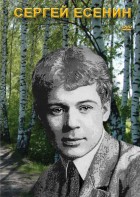 DVD "Сергей Есенин" - fgospostavki.ru - Тюмень