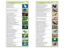 Комплект карточек (10) "Обучающий калейдоскоп. Природа" - fgospostavki.ru - Тюмень