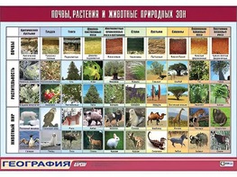 Таблица демонстрационная "Почвы, растения и животные природных зон" (винил 70*100) - fgospostavki.ru - Тюмень