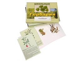 Гербарий "Для начальной школы" (30 видов, с иллюстрациями) - fgospostavki.ru - Тюмень