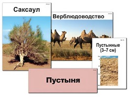 Модель-аппликация "Природные зоны России" (ламинированная) - fgospostavki.ru - Тюмень