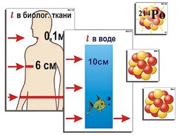 Модель-аппликация "Явление радиоактивности" (ламинированная) - fgospostavki.ru - Тюмень