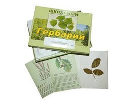 Гербарий "Дикорастущие растения" (30 видов, с иллюстрациями) - fgospostavki.ru - Тюмень
