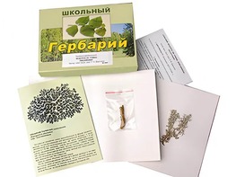 Гербарий "Водоросли. Грибы. Лишайники" (раздаточный) - fgospostavki.ru - Тюмень