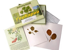 Гербарий "Систематика растений. Семейство Розоцветные" (раздаточный) - fgospostavki.ru - Тюмень