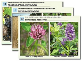 Гербарий фотографический "Сельскохозяйственные растения России" - fgospostavki.ru - Тюмень