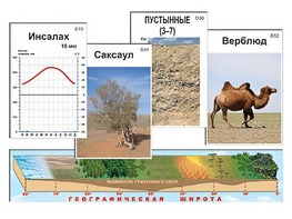 Модель-аппликация "Природные зоны" - fgospostavki.ru - Тюмень
