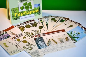 Гербарий к курсу основ общей биологии - fgospostavki.ru - Тюмень