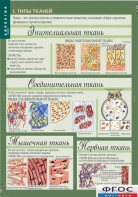 Комплект таблиц. Биология 8-9 класс. Человек. - fgospostavki.ru - Тюмень