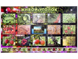 Комплект оборудования "Живой уголок" (растения) с тифлопереводом и сурдокомментариями - fgospostavki.ru - Тюмень