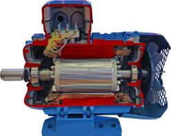 Учебная модель «Электродвигатель асинхронный в разрезе» - fgospostavki.ru - Тюмень