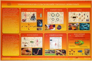 Электрифицированный стенд «Эпизоотология сельскохозяйственных животных» - fgospostavki.ru - Тюмень