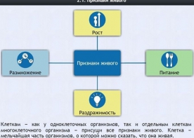 Интерактивные курсы. Биология 5 класс. Базовый - fgospostavki.ru - Тюмень