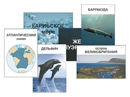 Модель-аппликация "Океаны. Знакомство" (ламинированная) - fgospostavki.ru - Тюмень