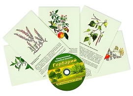 Интерактивный наглядный комплекс "Гербарий "Для начальной школы" - fgospostavki.ru - Тюмень