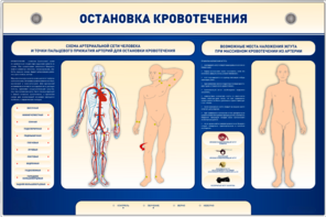 Электрифицированный стенд-тренажер "Остановка кровотечения" - fgospostavki.ru - Тюмень