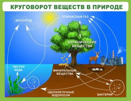 Стенд "Круговорот веществ" - fgospostavki.ru - Тюмень