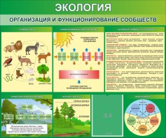 Стенд "Экология. Организация и функционирование сообществ" - fgospostavki.ru - Тюмень