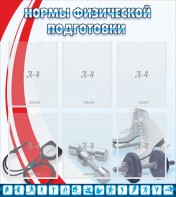Стенд "Нормы физической подготовки" Вариант 2 - fgospostavki.ru - Тюмень