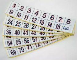 Фишки для игры «Бинго» со шрифтом Брайля - fgospostavki.ru - Тюмень