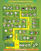 Стенд "Многообразие органического мира" - fgospostavki.ru - Тюмень