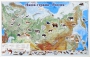 Магнитные карточки "Животные" - fgospostavki.ru - Тюмень